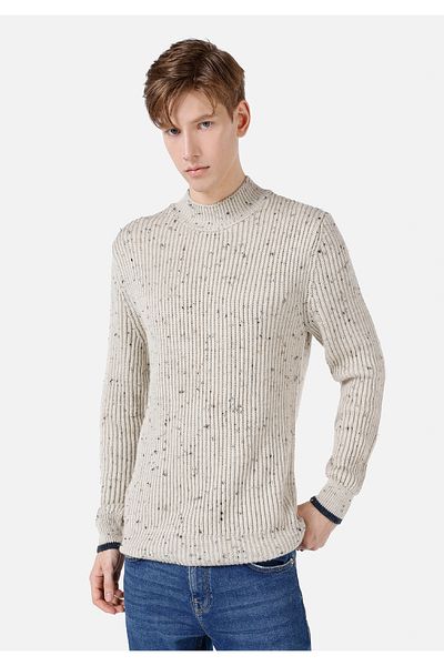 Colin's Regular Fit Turtle Neck Jacquard Men's Stone Sweater Cl 1064844