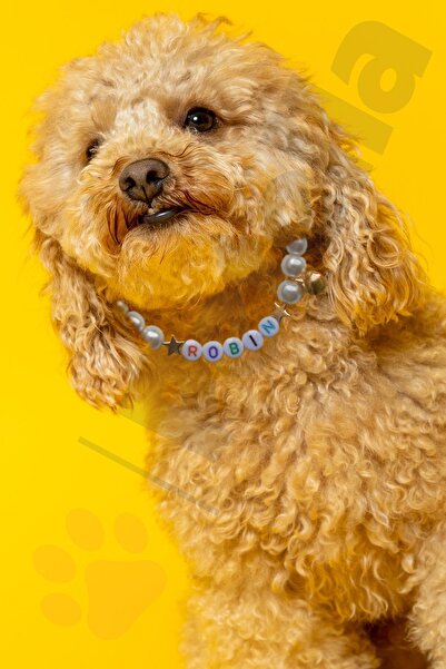 Petella İsimli Köpek Tasması Cam İncili Köpek Kolyesi Ayarlanabilir Köpek Boyun Tasması