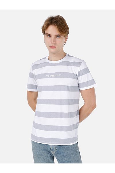 Colin's Regular Fit Round Neck Striped Men's Gray Short Sleeve T-Shirt