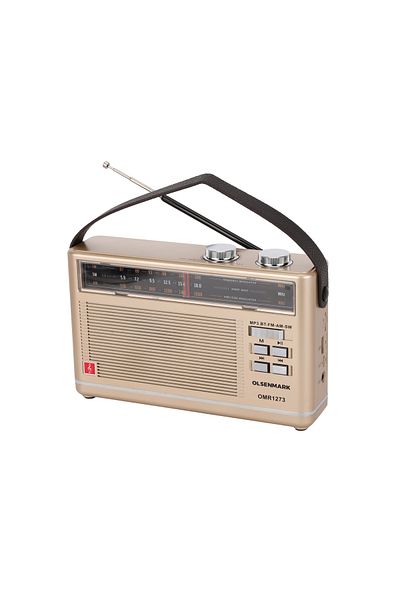 Olsenmark راديو FM OMR1273 أسود