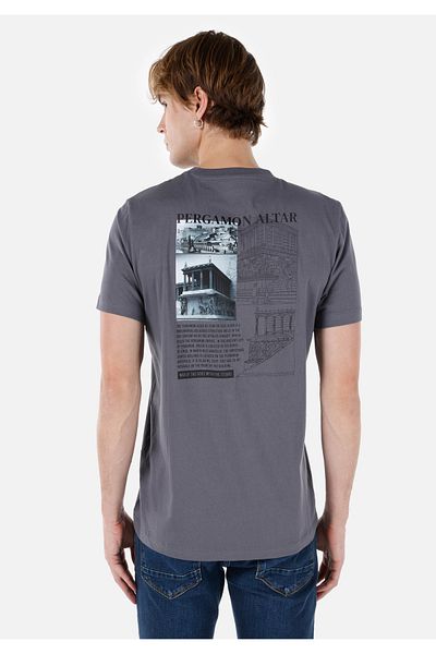 Colin's Tricou cu mânecă scurtă pentru bărbați, gri cu imprimeu, cu croiala normală, cu decolteu triplu Cl 1068142