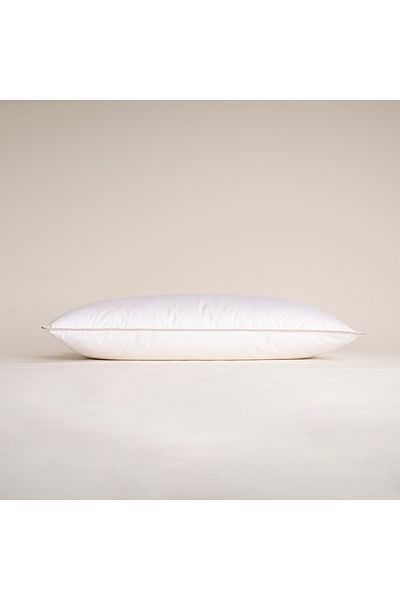 Penelope Feather Proof Goose down Pillow - Dove Soft Series