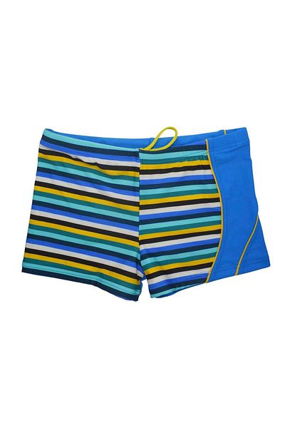 Endeep Boy's Striped Blue Shorts Swimsuit