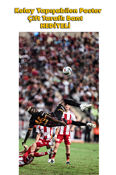 Organik Yolda OSHİMEN POSTER KALİTELİ BASIM 10X15 cm