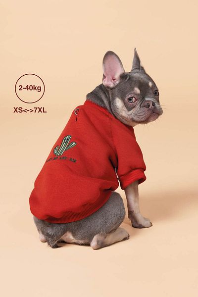 salya store Small, Medium and Large Breed Dog Apparel, Cacti Dog Sweatshirt