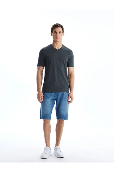 LC Waikiki LCWAIKIKI Classic V-Neck Short Sleeve Combed Cotton Men's T-Shirt