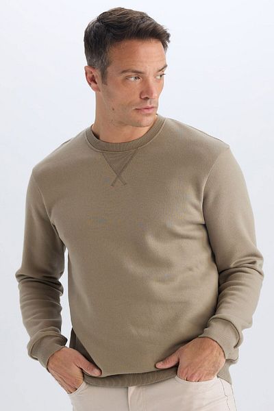 DeFacto Normale Passform, Rundhalsausschnitt, einfaches, gerades, dickes Sweatshirt T3777AZ25SP