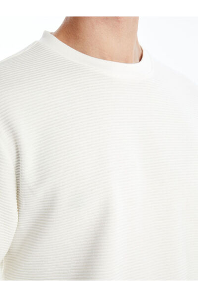 LC Waikiki Vizyon New Season Crew Neck Long Sleeve Men's Textured Sweatshirt