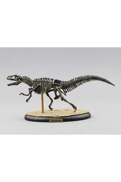 Choice Assemble Dinosaur Bones Triceratops Skeleton Fossil Mammoth Mammuthus Assembled  Tyrannosaurus Re...