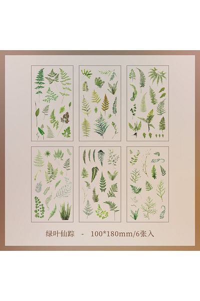 Choice 4 Jianqi 6pcs/pack Transparent Pet Stickers Scrapbooking Materials Diy Junk Journal Collage Floral .