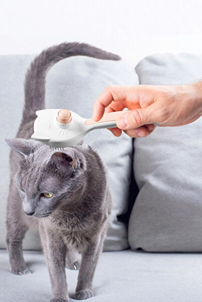 Mutfak Köşesi Cat Dog Automatic Cleaning Buttoned Hair Collector Comb Pet Feather Hair Collecting Brush