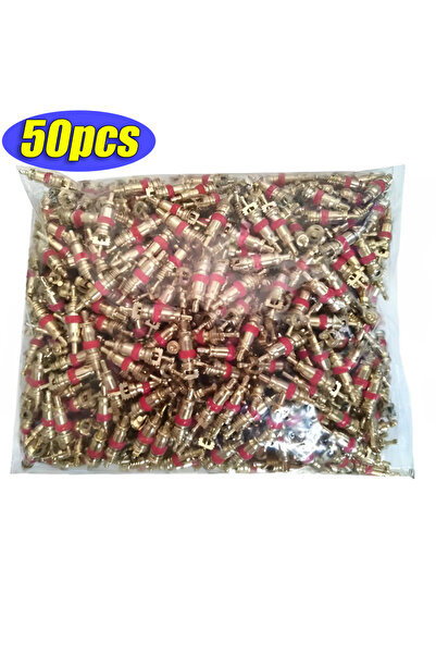 Choice مجموعة أدوات إزالة قلب صمام الإطارات النحاسية من 50 قطعة، مفتاح ربط قل...