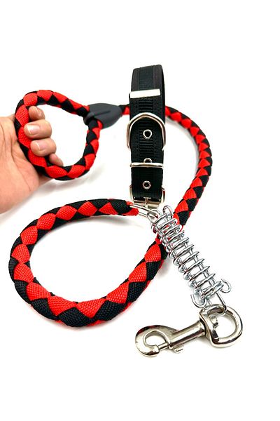 Tasma Market Medium Breed Durable Dog Collar Set