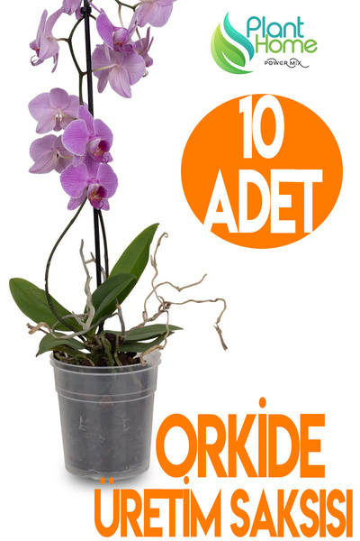 Plant Home Power Mix 10 Adet Orkide Üretim Saksısı - Plastik Şefaf Orkide Üre...