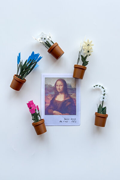 sin istanbul 5'li Çiçekli Saksı Buzdolabı Magneti