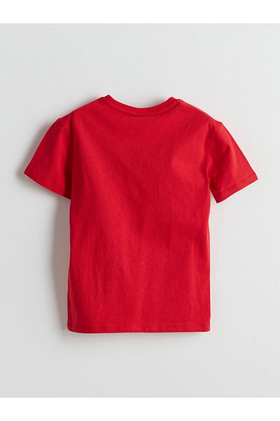 LC Waikiki Lcw Eco Crew Neck Boy T-Shirt