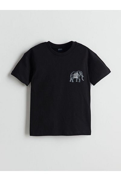 LC Waikiki New Season Crew Neck Boy's T-Shirt - S5Iu59Z4