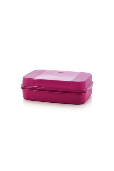Tupperware Large Storage Box
