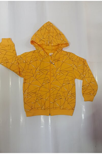 WOW 2-Thread Fabric Seasonal Hooded Sweatshirt with Zipper and Pockets