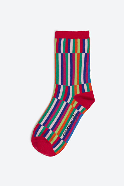 Hype of Steps Rainbow - Renkli Çizgili Çorap