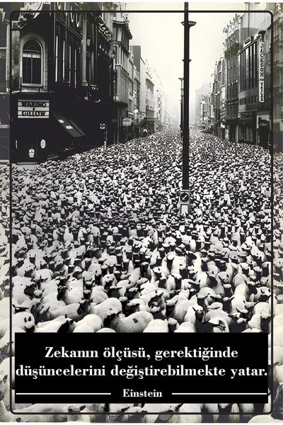 Hayat Poster masovna psihologija, popularna kultura, Albert Ajnštajn, nauka, ...
