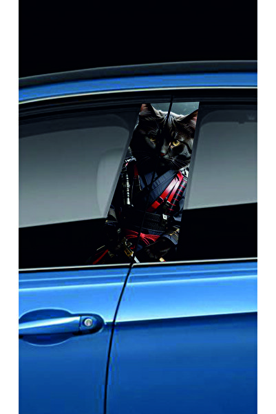 NEON Dijital Baskı Merkezi Araç Kapı Direk Kaplama Folyosu (Sağ Sol Takım) (2...