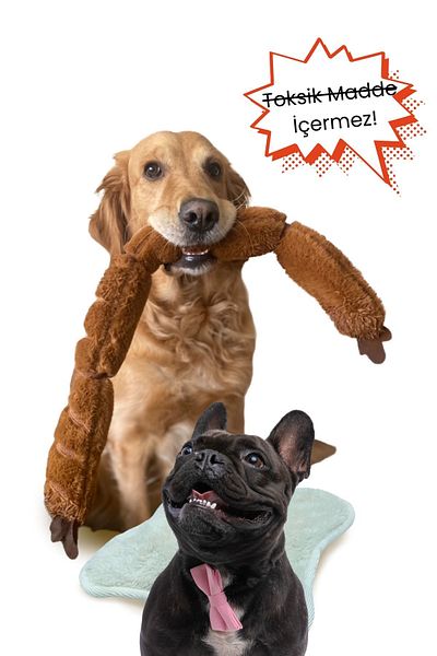 Havhav Plush Sausage Dog Toy Special Design Durable Dog Traction Toy