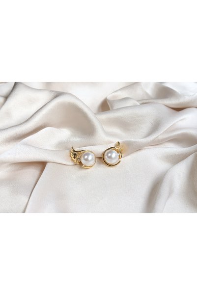 Brillo Zircon Stone Pearl Detailed Stylish Earrings