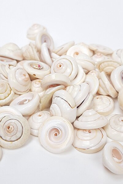 Hayalperest boncuk Cremă ondulată de scoici de mare