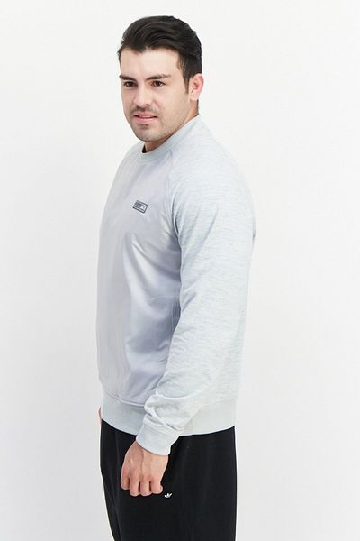 Puma Men Sportswear Fit Training Sweatshirt, Grey