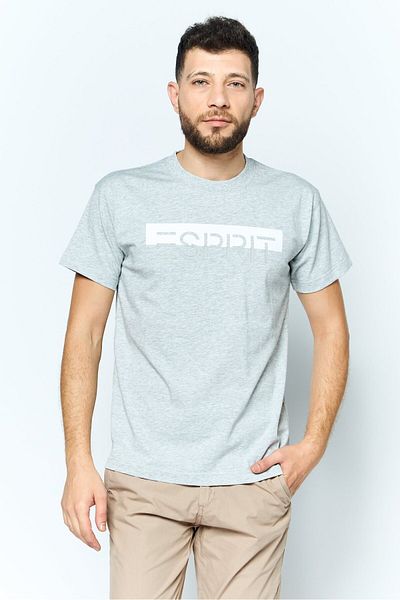 Esprit Men Crew Neck Short Sleeves Brand Logo T-shirt, Grey