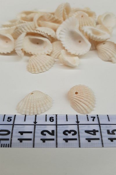 Hayalperest boncuk Cream Colored Mussel Shell