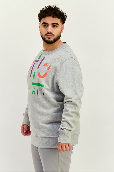 Esprit Men Crew Neck Long Sleeves Brand Logo Sweatshirt, Grey
