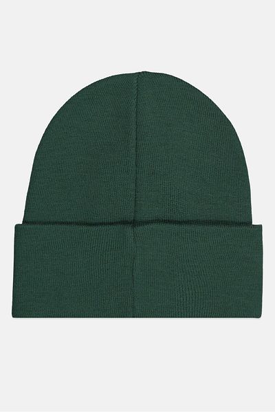 Champion Men Embroidered Logo Beanie, Dark Green
