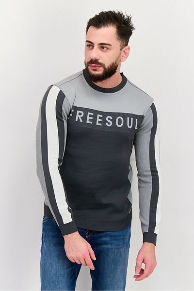 freesoul Men Crew Neck Brand Logo Long Sleeve Sweatshirt, Gray
