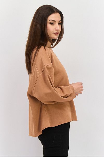 Sage Collective Women Round Neck Plain Sweatshirt, Brown