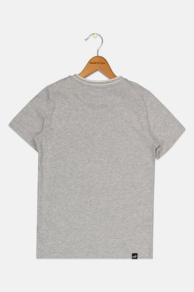 Puma Kids Girl Short Sleeve Outdoor T Shirt, Grey