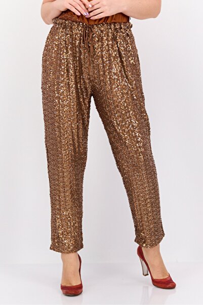 Dex Women Regular Fit Sequin Straight Pants, Rust Brown