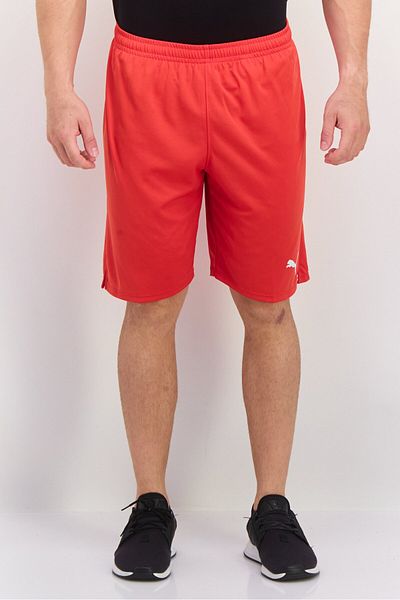Puma Men Sportswear Fit Training Shorts, Red