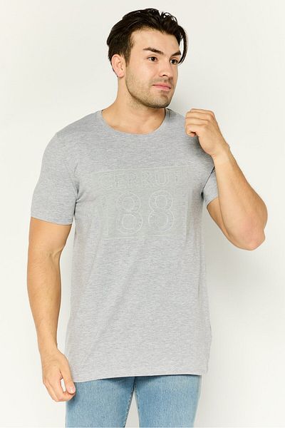 Cerruti 1881 Men Crew Neck Short Sleeve Brand Logo T-shirts, Grey