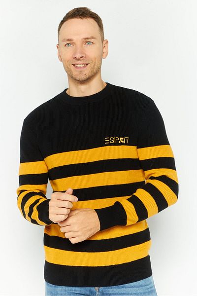 Esprit x Rest and Recreation Men Crew Neck Embroidered Logo Sweaters, Multicolor