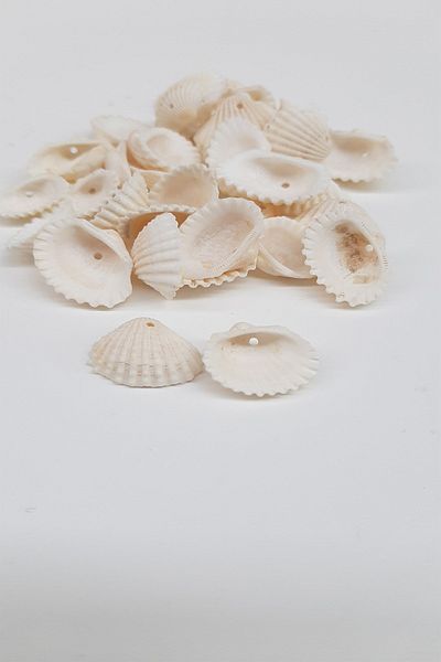 Hayalperest boncuk Cream Colored Mussel Shell