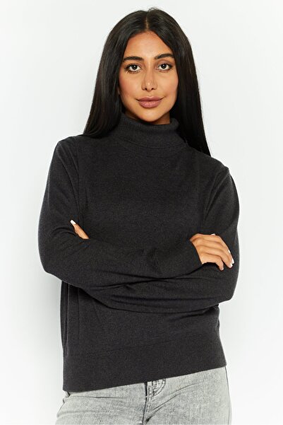 Dex Women Turtle Neck Long Sleeves Knitted Sweater, Black