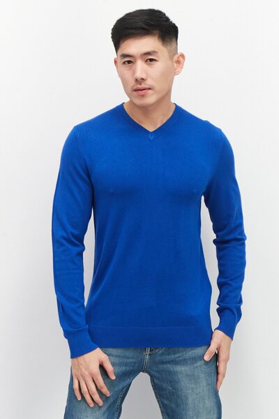 CELIO Men V Neck Long Sleeve Plain Sweaters, Blue