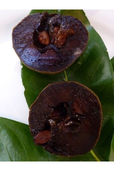 fidanistanbul Çikolata Meyvesi Fidanı Black Sapote Diospyros digyna 80 100 cm