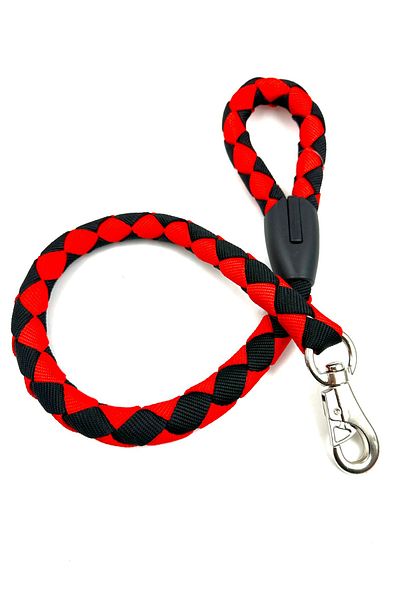 Tasma Market Large Breed Durable Sturdy Dog Walking Collar
