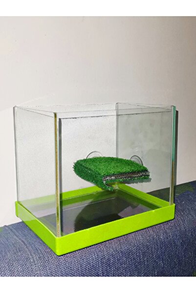 Akvaryum Üstü Açık Kaplumbaga Akvaryumu ve Ayarlanabilir Kaplumbağa Dinlenme ...