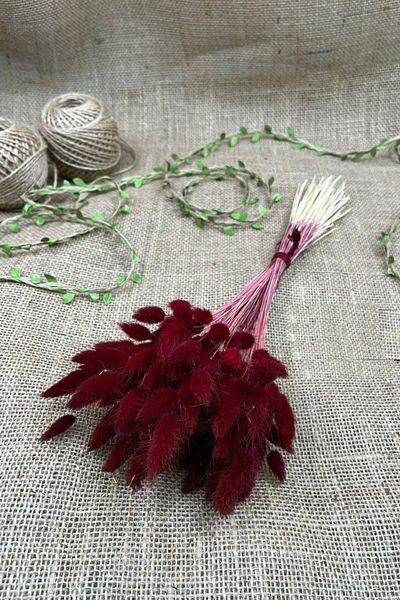 Hayalperest boncuk Βουργουνδία Cotton Weed Lagurus Φυσικό Αποξηραμένο Λουλούδι