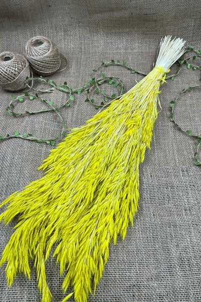 Hayalperest boncuk زهرة صفراء مجففة لسان الطير المجفف