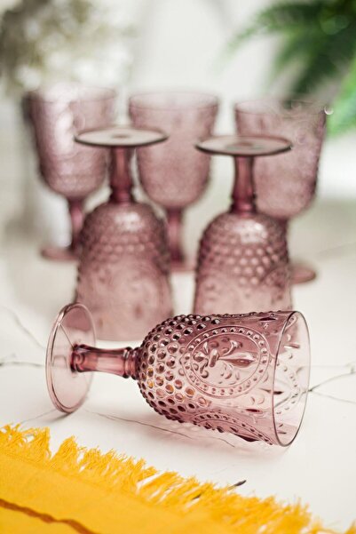 HSDemirci أكريليك بلوم 6 قطع كأس وماء مشروب غازي زجاج قهوة 450 مل (ليس زجاج)